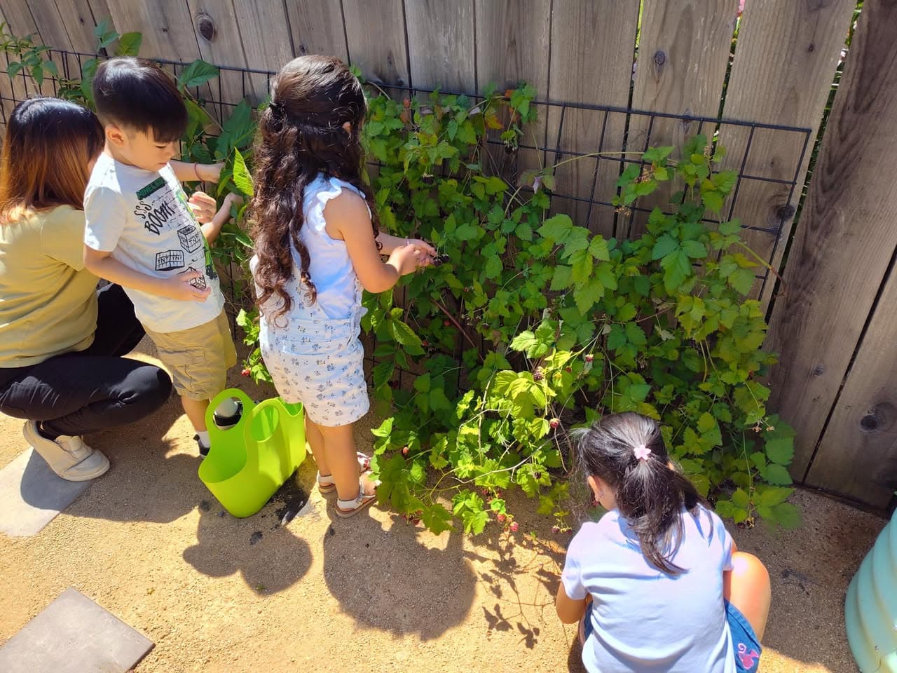 Children picking berries in the garden